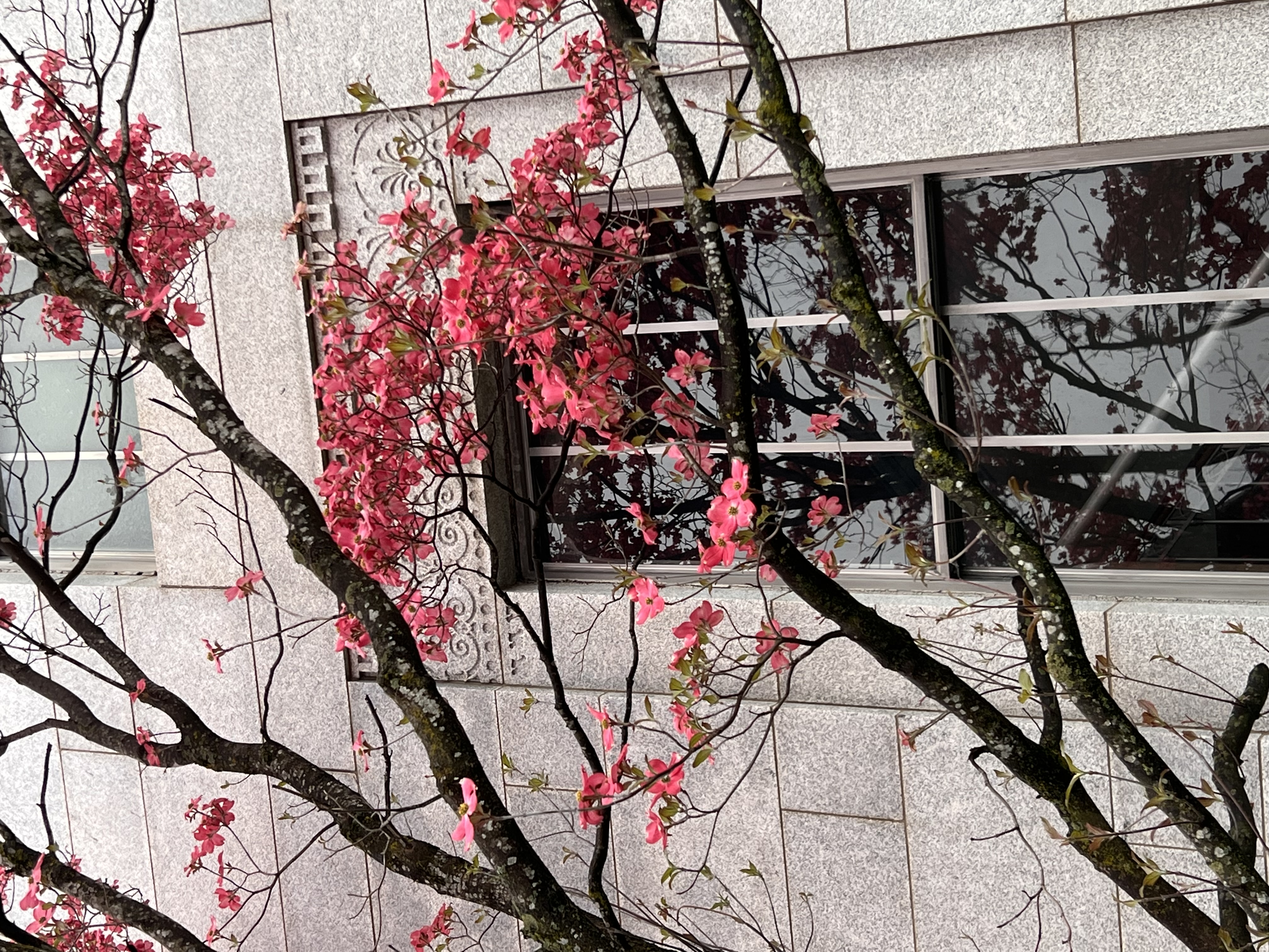 ./2023/05 - Toni Adventures/IMG_2899.JPG